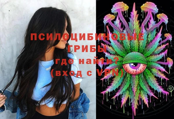 молекула духа Покачи