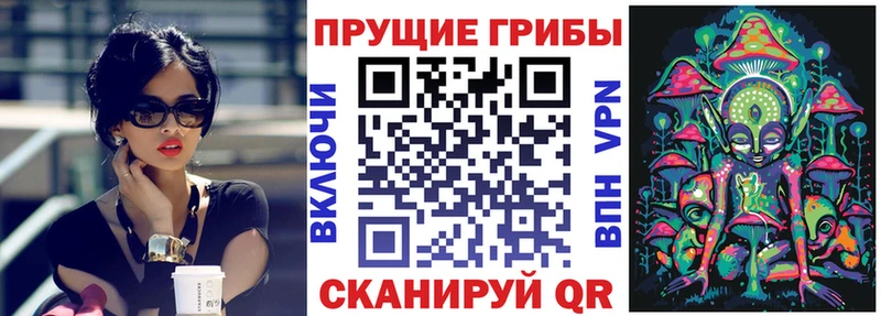 Галлюциногенные грибы Magic Shrooms  где найти   Таганрог 