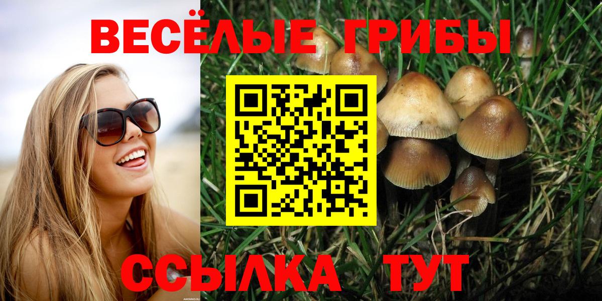 Таганрог  Псилоцибиновые грибы прущие грибы  Вход с VPN  Галлюциногенные грибы мухоморы 